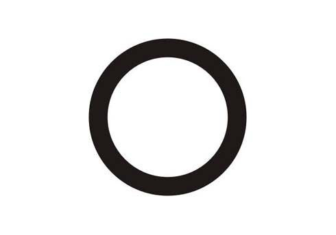 OIL SEAL FOR REAR BRAKE CALIPER AP-RACE 01