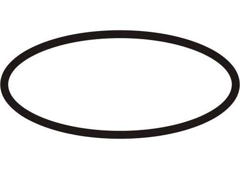 O ring D. 115MM FOR WATER PUMP