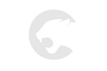 PAROLIN COLLARD SHIRTS